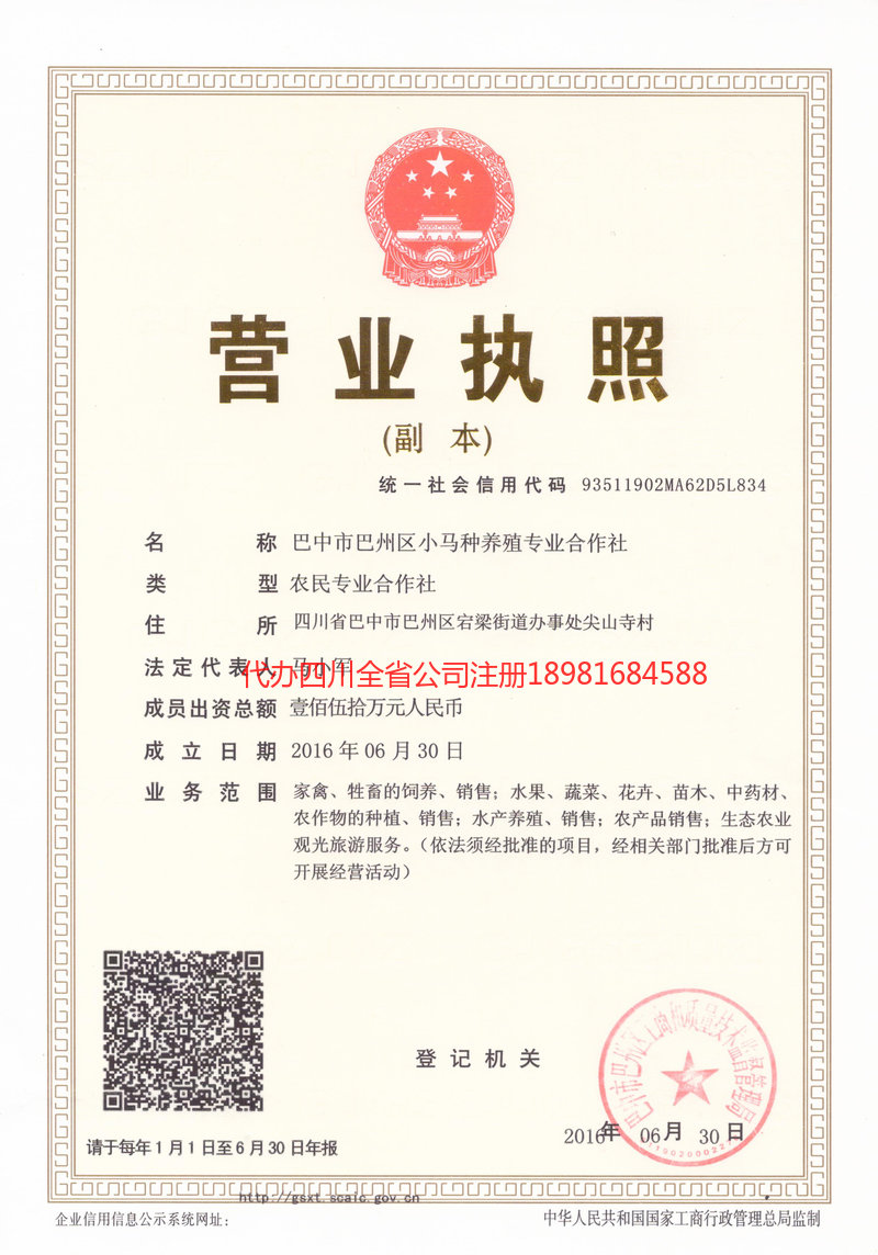 集安集安小马种养殖专业合作社